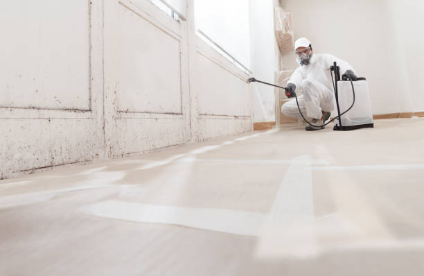 24/7 Emergency Crawl Space Mold Remediation experts in Arlington, TX
