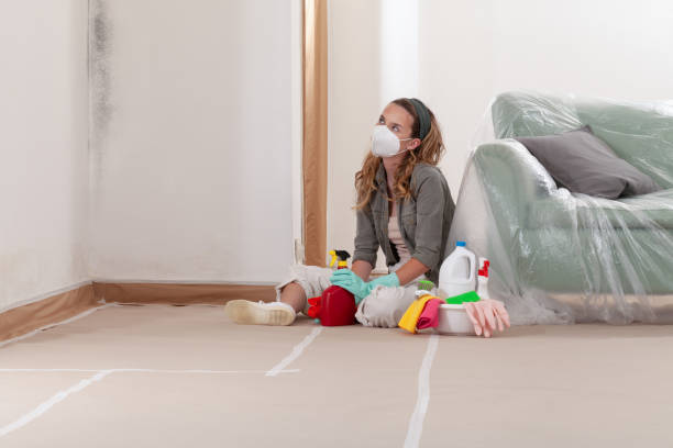 Reliable Crawl Space Mold Remediation contractor in Arlington, TX by 24 Hour Mold Removal
